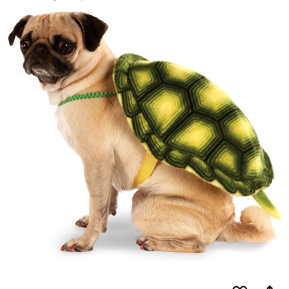 Pet turtle shell Halloween costume